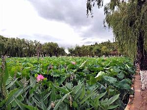 KUNMING - Parc Daguan - 05